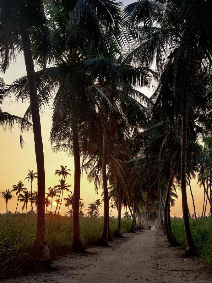 Alesara Guest House Thoddoo Kültér fotó